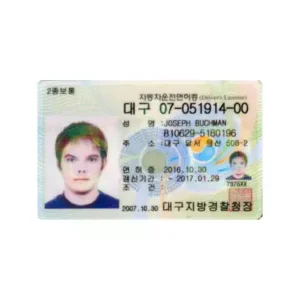 SOUTH KOREAN DRIVER’S LICENSE ONLINE